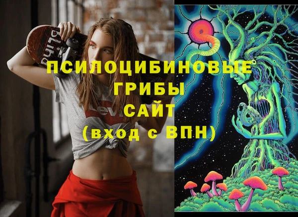 гидропоника Армянск