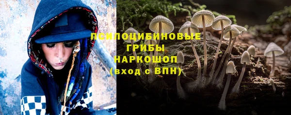 ешки Арсеньев