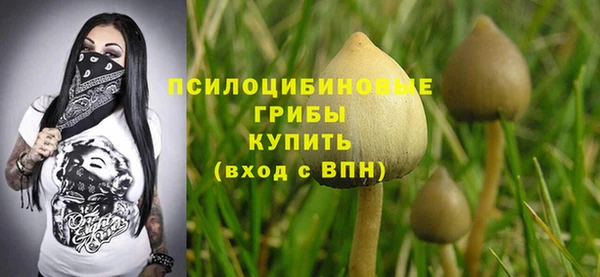 гидропоника Армянск
